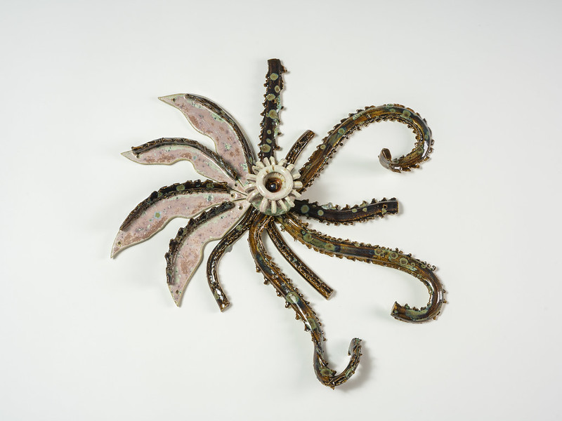 54065438892_ea29c49d21_c